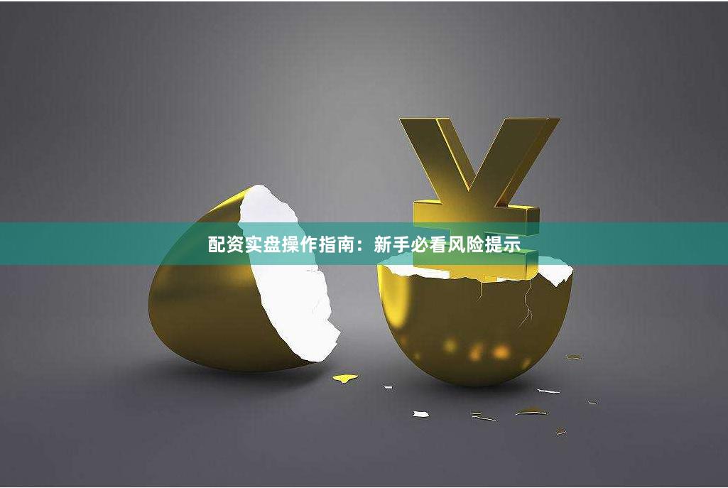 配资实盘操作指南：新手必看风险提示